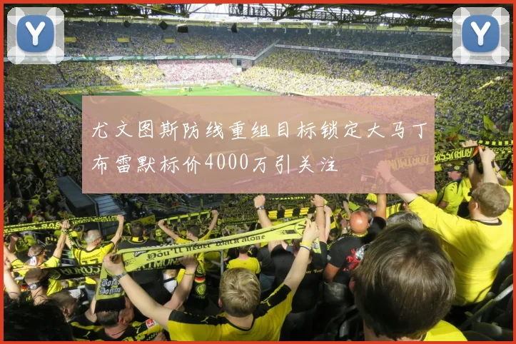 尤文图斯防线重组目标锁定大马丁布雷默标价4000万引关注